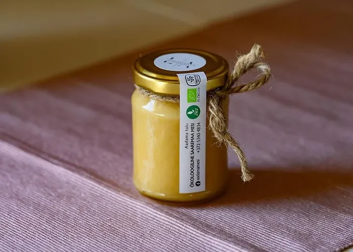 Family Retreat With A Sauna In The Centre Appartement *